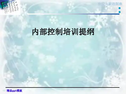 内部控制培训提纲