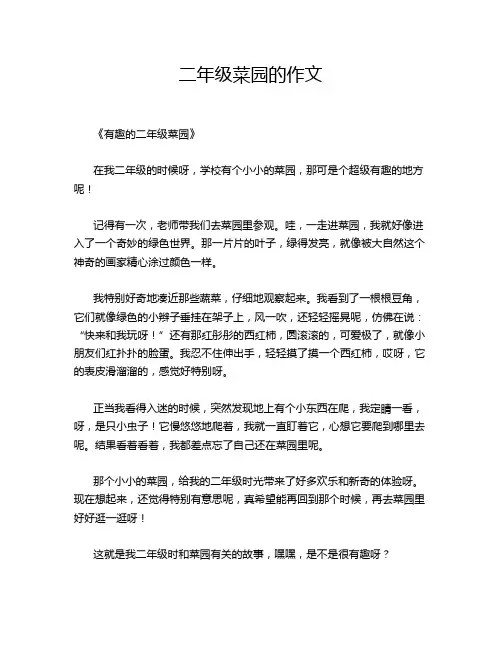 二年级菜园的作文