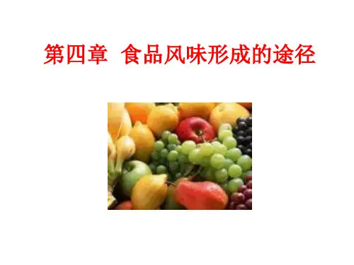 食品风味化学4.1