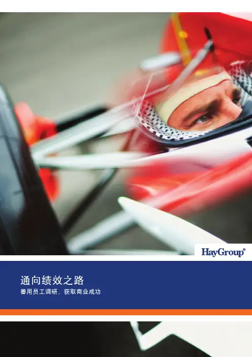 合益 白皮书 通往高绩效之路 The_road_to_performance_A4[1]