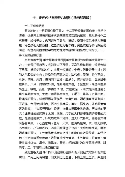 十二正经经络图奇经八脉图（动画配声版）
