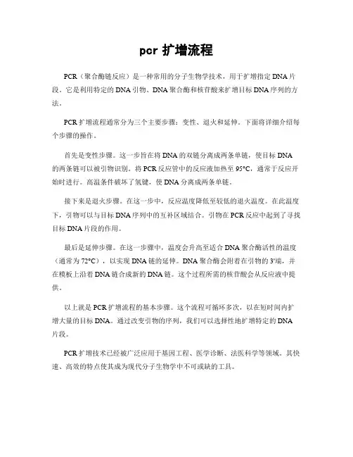 pcr扩增流程