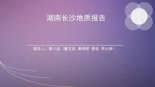 湖南长沙地质报告