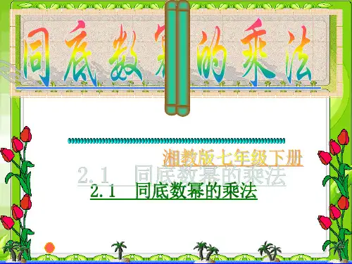 同底数幂的乘法PPT课件