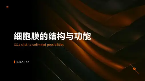 细胞膜的结构与功能