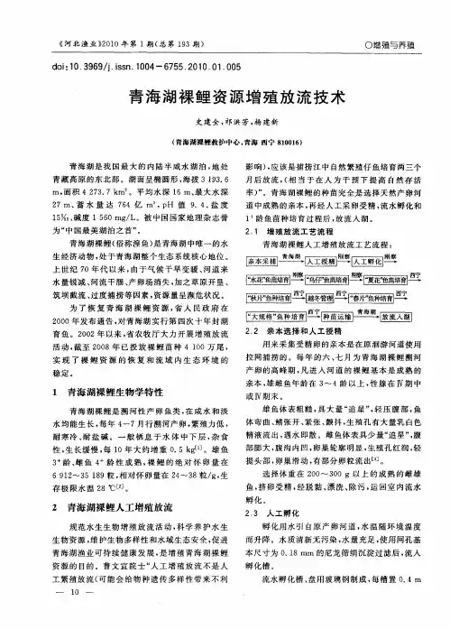 青海湖裸鲤资源增殖放流技术