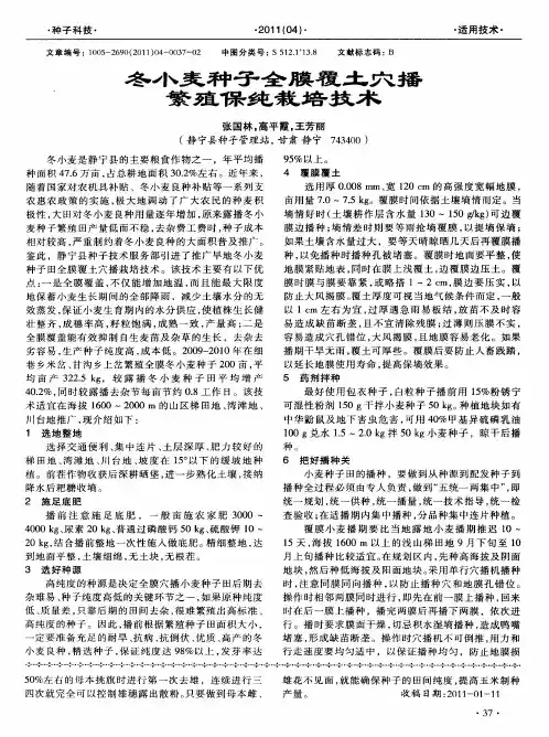 冬小麦种子全膜覆土穴播繁殖保纯栽培技术