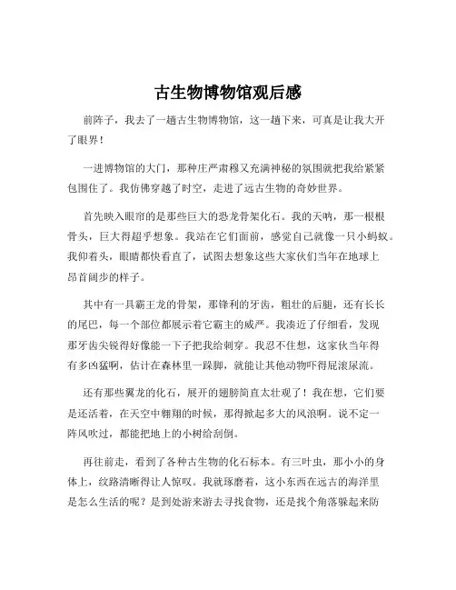 古生物博物馆观后感