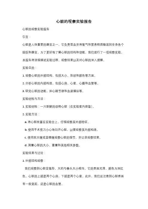 心脏的观察实验报告