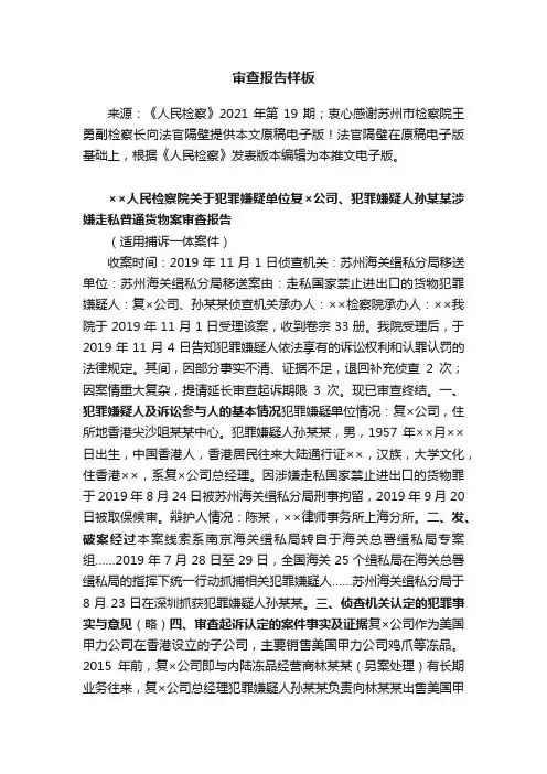 审查报告样板