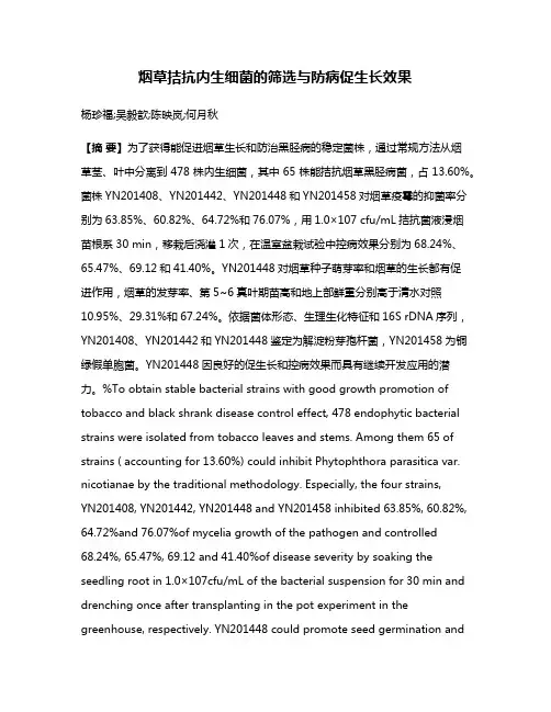 烟草拮抗内生细菌的筛选与防病促生长效果