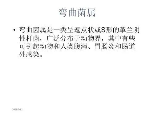 微生物学检验弯曲菌属和幽门螺杆菌及检验PPT课件