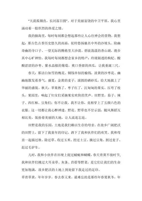 我的家乡宁夏中卫作文800字