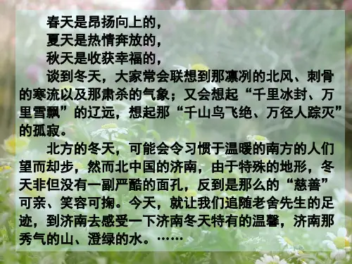 《济南的冬天》市优质课竞赛获奖课件.ppt