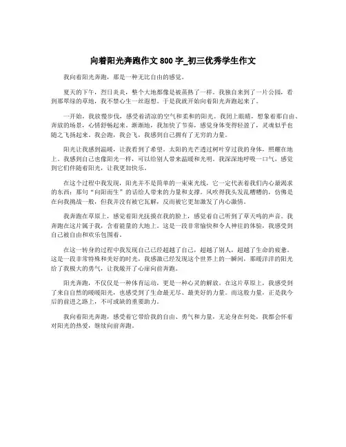 向着阳光奔跑作文800字_初三优秀学生作文