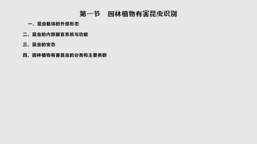 园林植物有害昆虫和真菌主要类群识别
