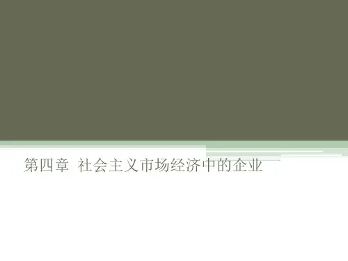 第四章  社会主义市场经济中的企业  《政治经济学》PPT课件