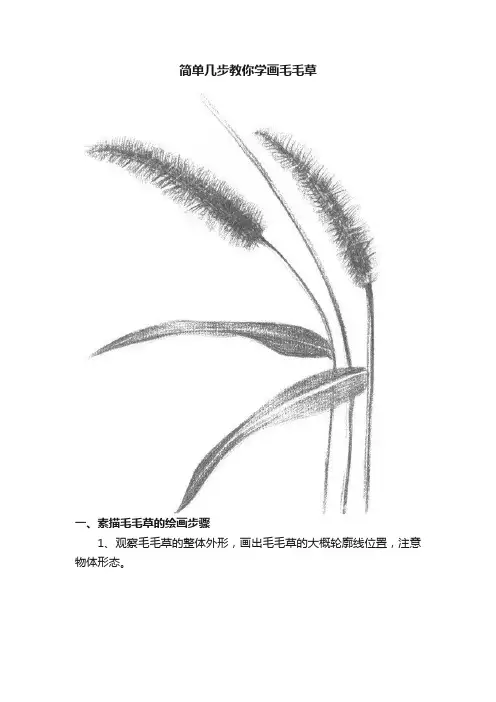 简单几步教你学画毛毛草