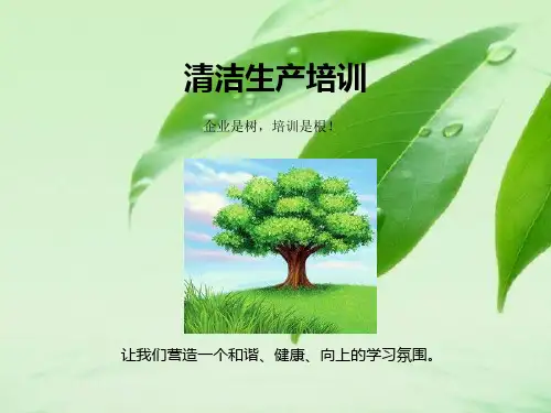 清洁生产培训课件