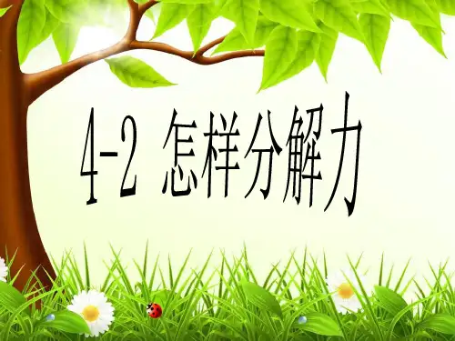 物理高一第一学期(试用版)-第二章 C 怎样分解力 课件
