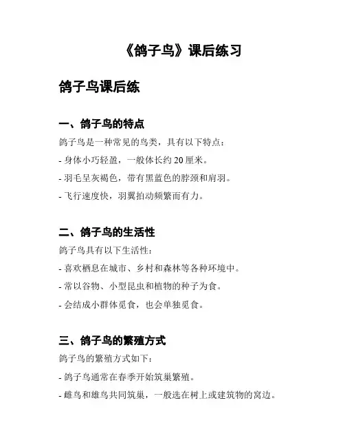 《鸽子鸟》课后练习