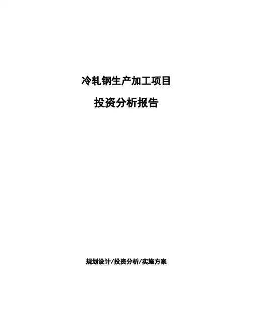 冷轧钢生产加工项目投资分析报告