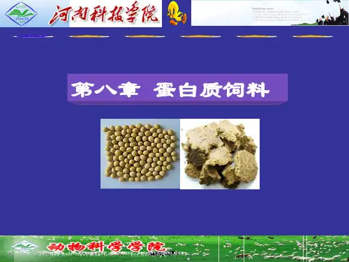 第八章 3 植物性蛋白质饲料