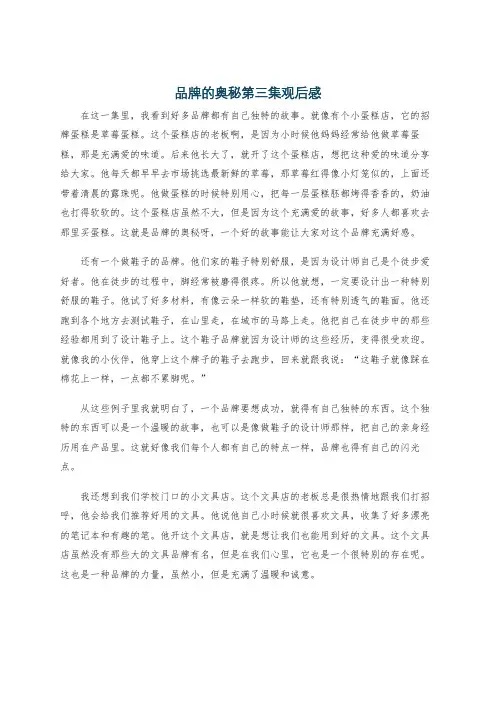 品牌的奥秘第三集观后感