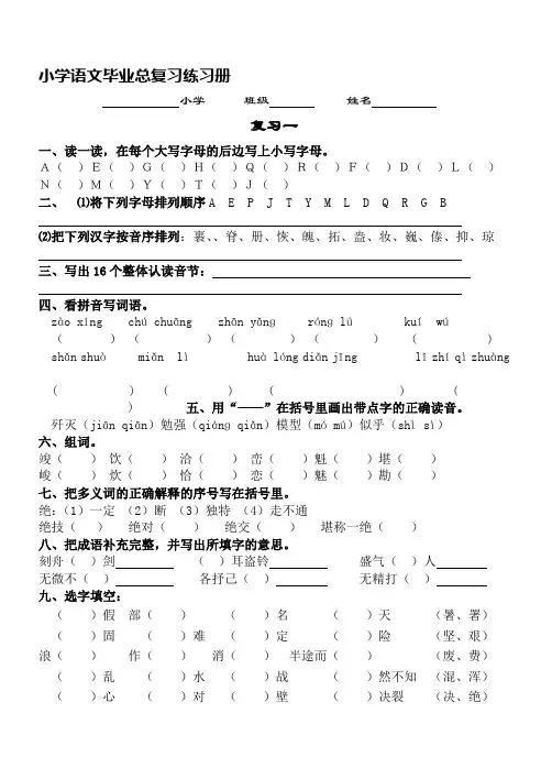 新人教版小学语文毕业总复习练习册