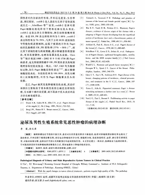 泌尿及男性生殖系统常见恶性肿瘤的病理诊断