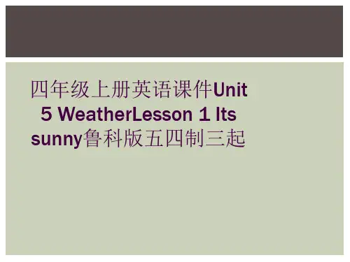 四年级上册英语课件Unit 5 WeatherLesson 1 Its sunny鲁科版五四制三起 