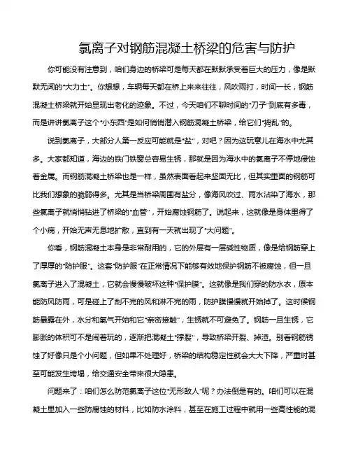 氯离子对钢筋混凝土桥梁的危害与防护