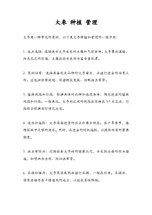 大枣 种植 管理