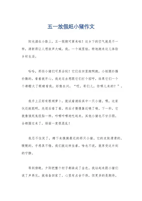 五一放假赶小猪作文