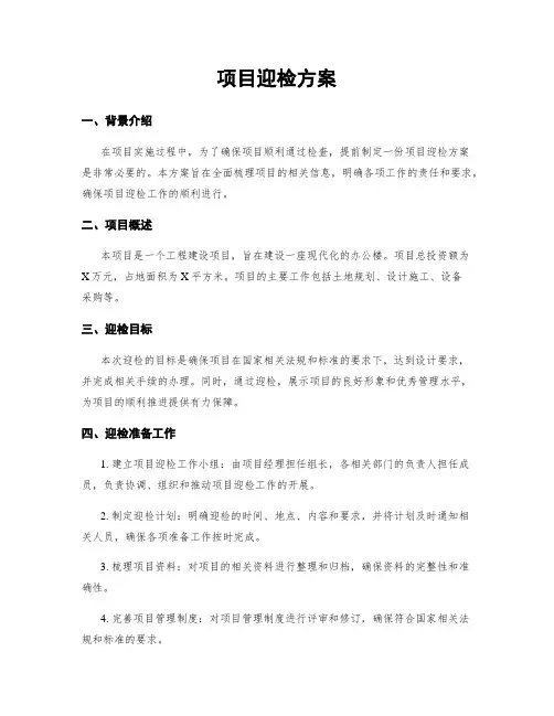 项目迎检方案