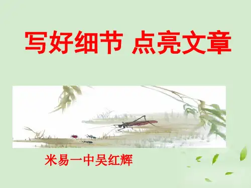 中考语文 作文指导写好细节点亮文章课件