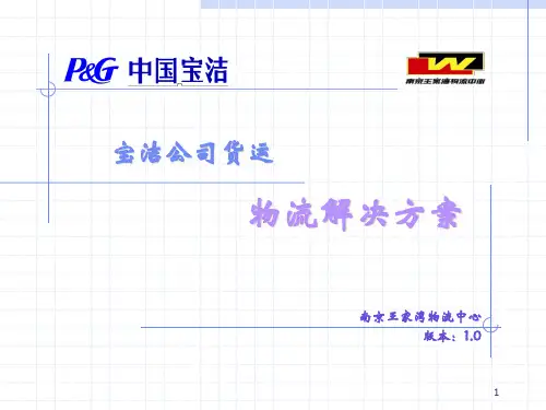 宝洁公司物流方案