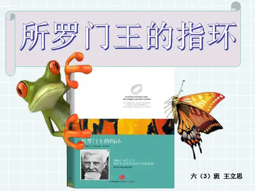 所罗门王的指环