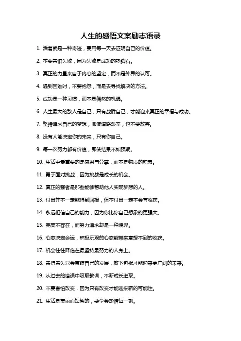 人生的感悟文案励志语录