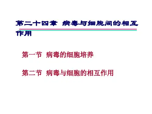 第二十四章病毒与细胞间的相互作用_562