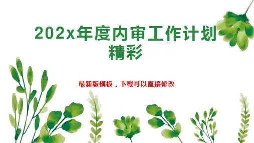 202x年度内审工作计划精彩PPT模板下载