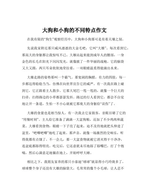 大狗和小狗的不同特点作文
