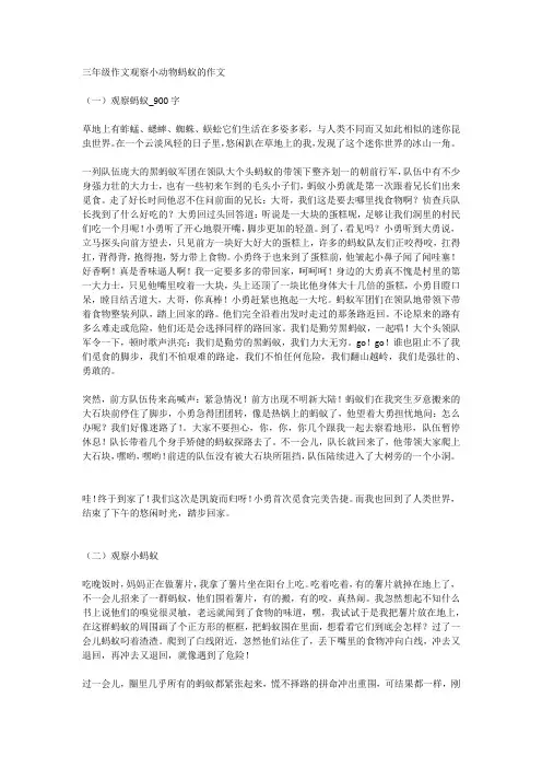 三年级作文观察小动物蚂蚁的作文