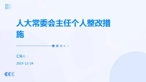 人大常委会主任个人整改措施