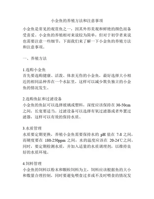 小金鱼的养殖方法和注意事项
