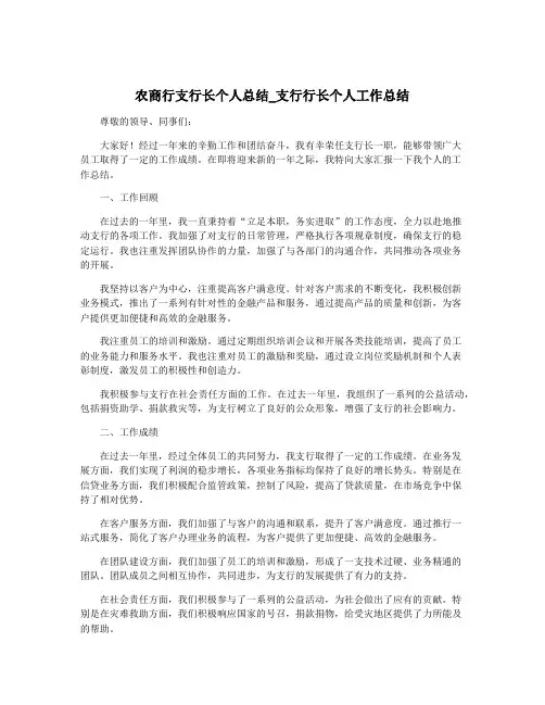农商行支行长个人总结_支行行长个人工作总结