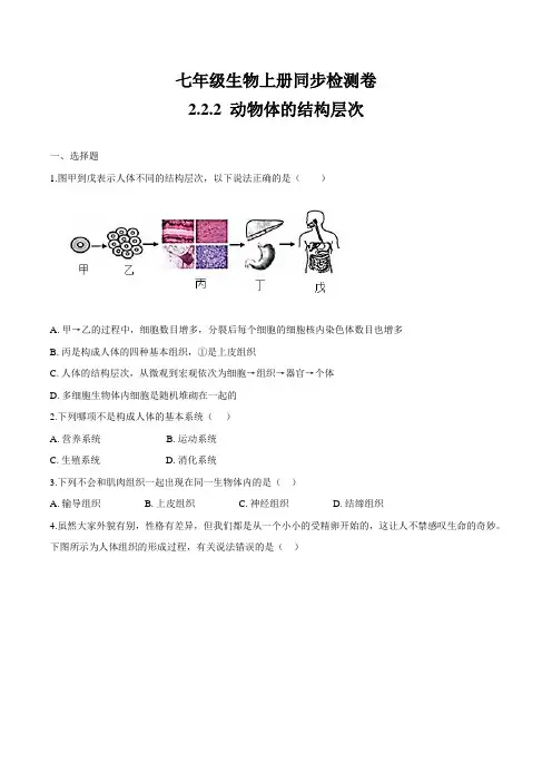 2.2.2动物体的结构层次-七年级生物上册精品课堂同步检测卷(人教版)(原卷版)