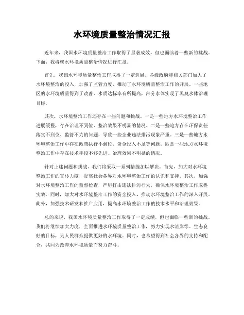 水环境质量整治情况汇报