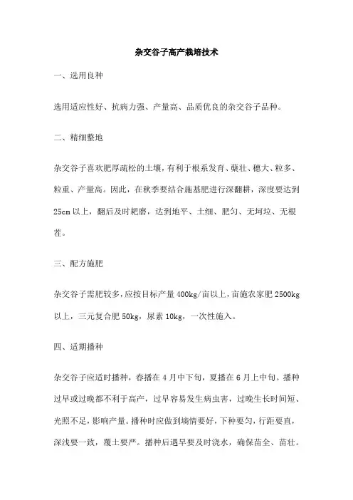 杂交谷子高产栽培技术
