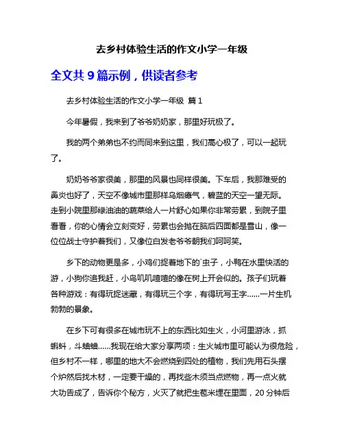 去乡村体验生活的作文小学一年级